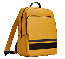 parent-link-bag